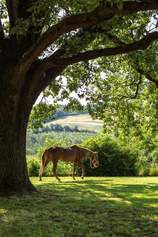 Agriturismo Molino Nuovo Castel San Pietro Terme Dış mekan fotoğraf