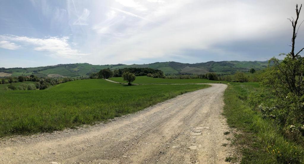 Agriturismo Molino Nuovo Castel San Pietro Terme Dış mekan fotoğraf