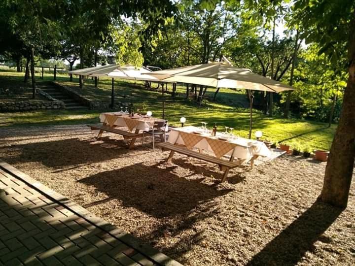 Agriturismo Molino Nuovo Castel San Pietro Terme Dış mekan fotoğraf